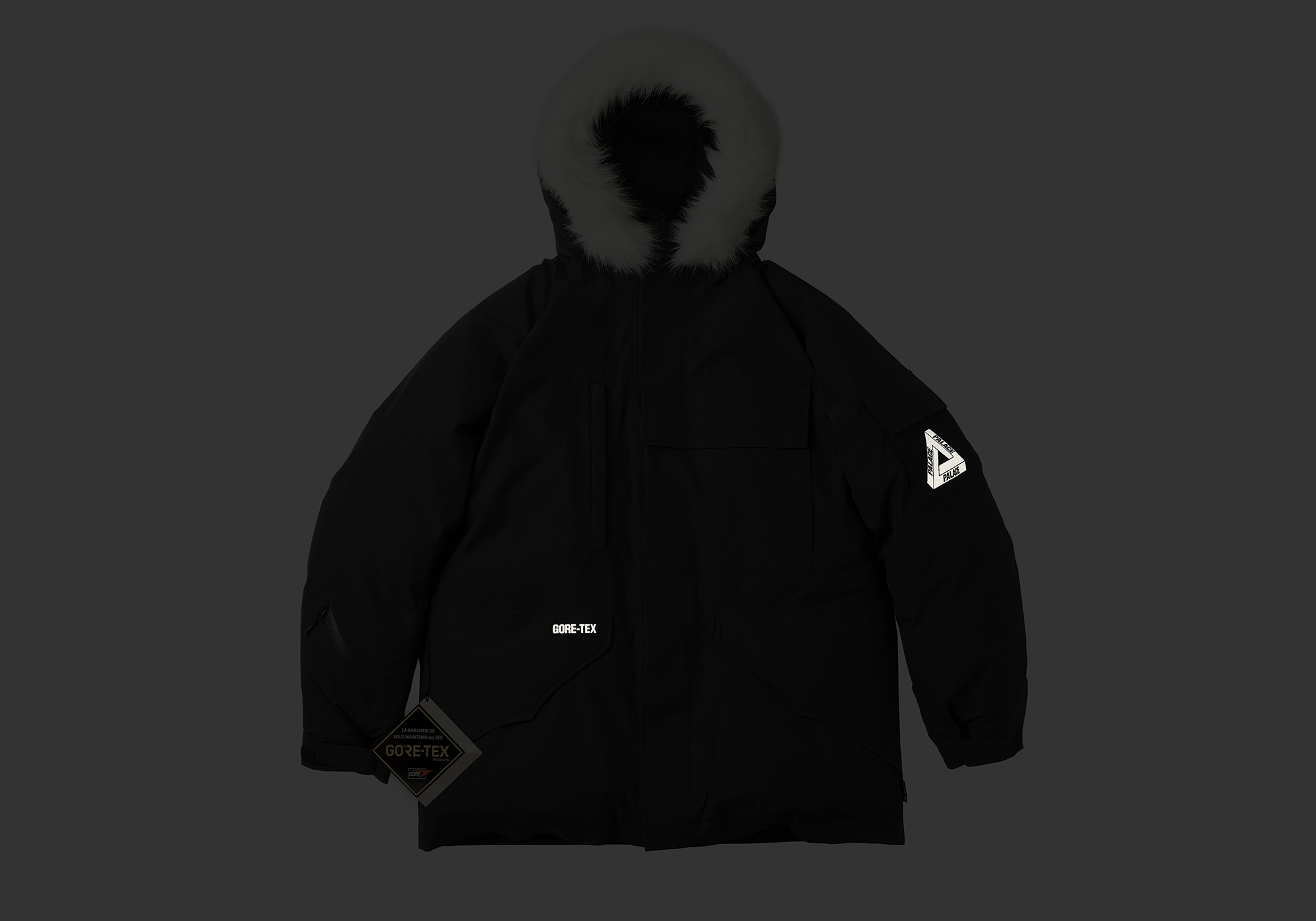 GORE-TEX DOWN PARKA | PALACE SKATEBOARDS