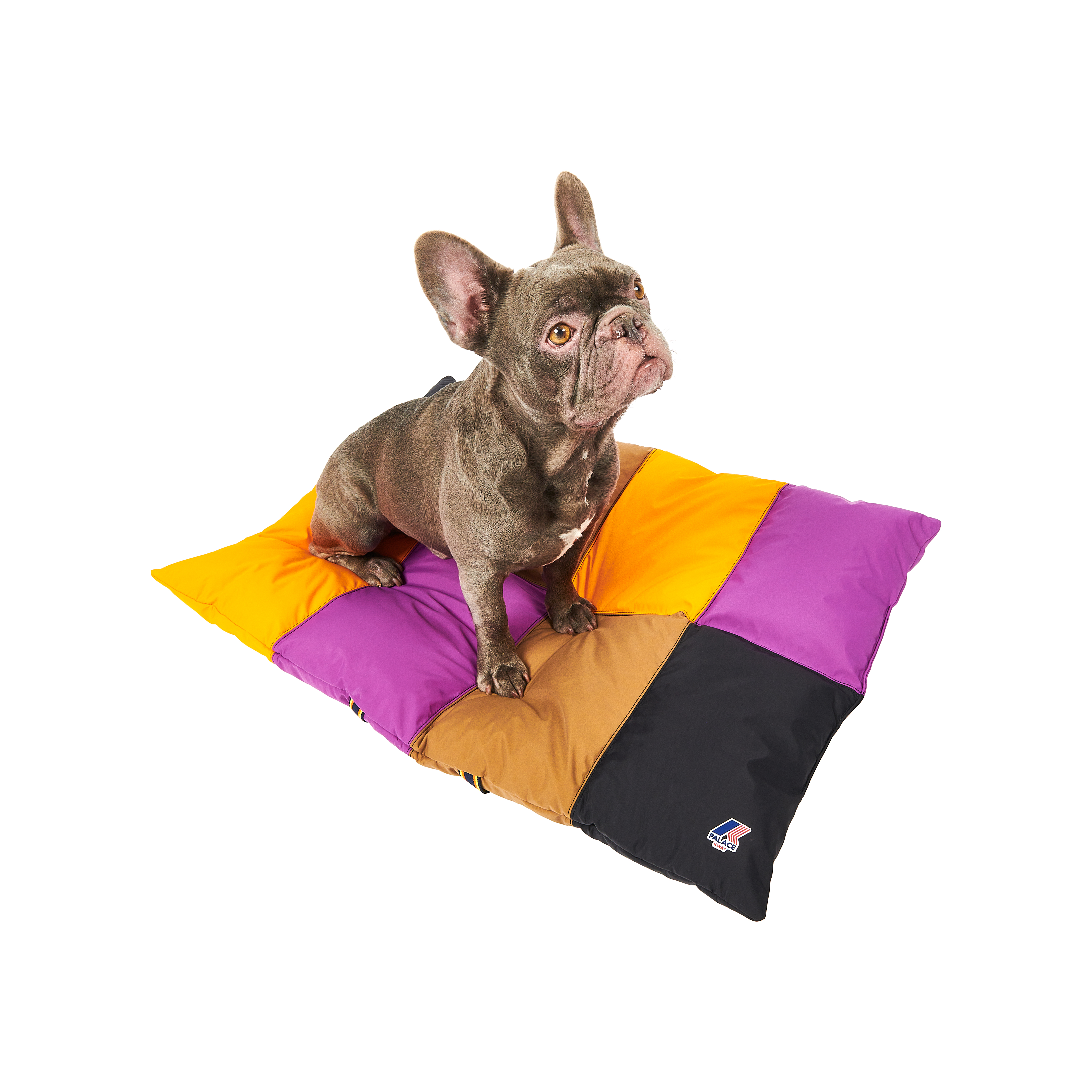 PALACE K-WAY FOLDABLE DOG BLANKET | PALACE SKATEBOARDS