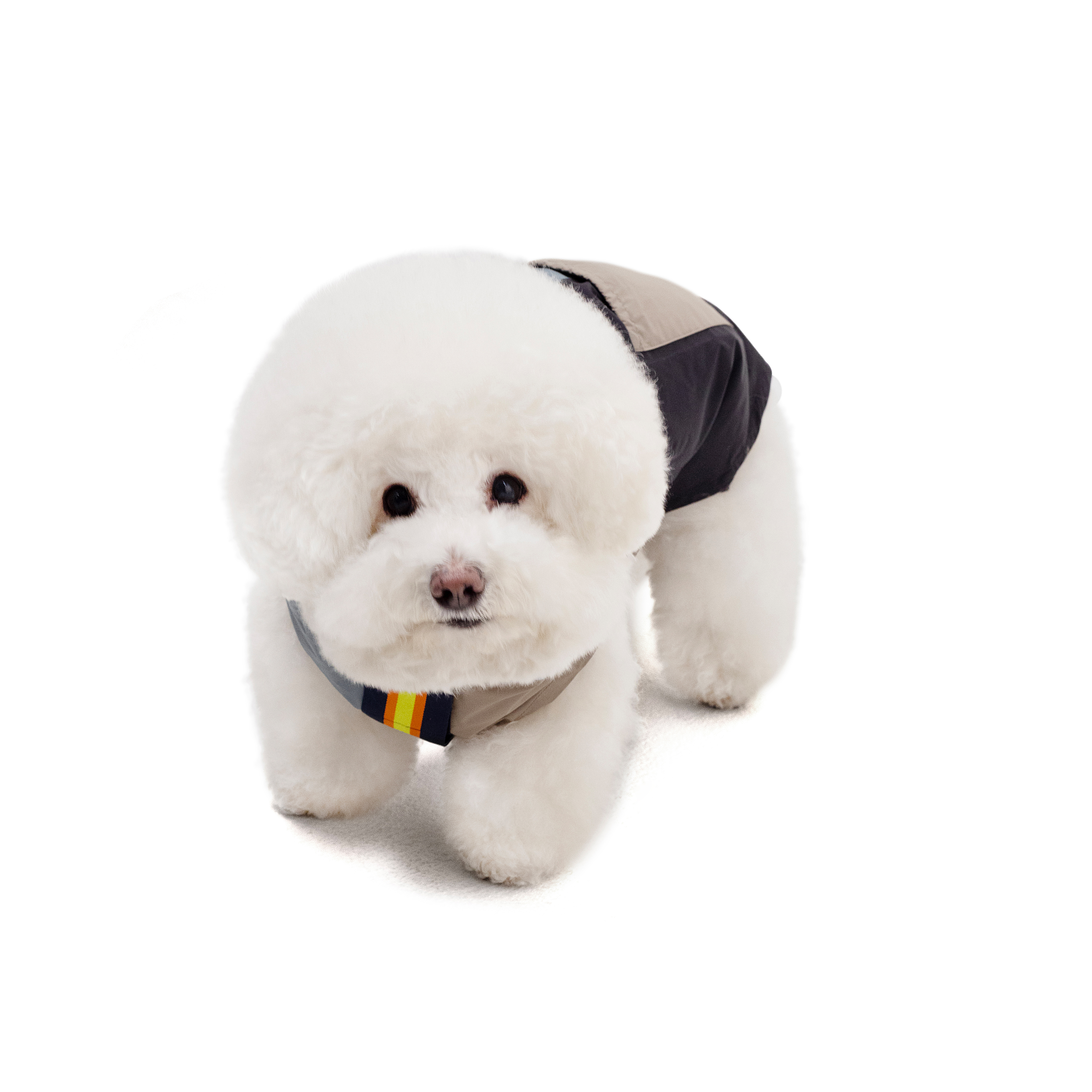 PALACE K-WAY LE VRAI 4.0 HORATIO DOG JACKET | PALACE SKATEBOARDS