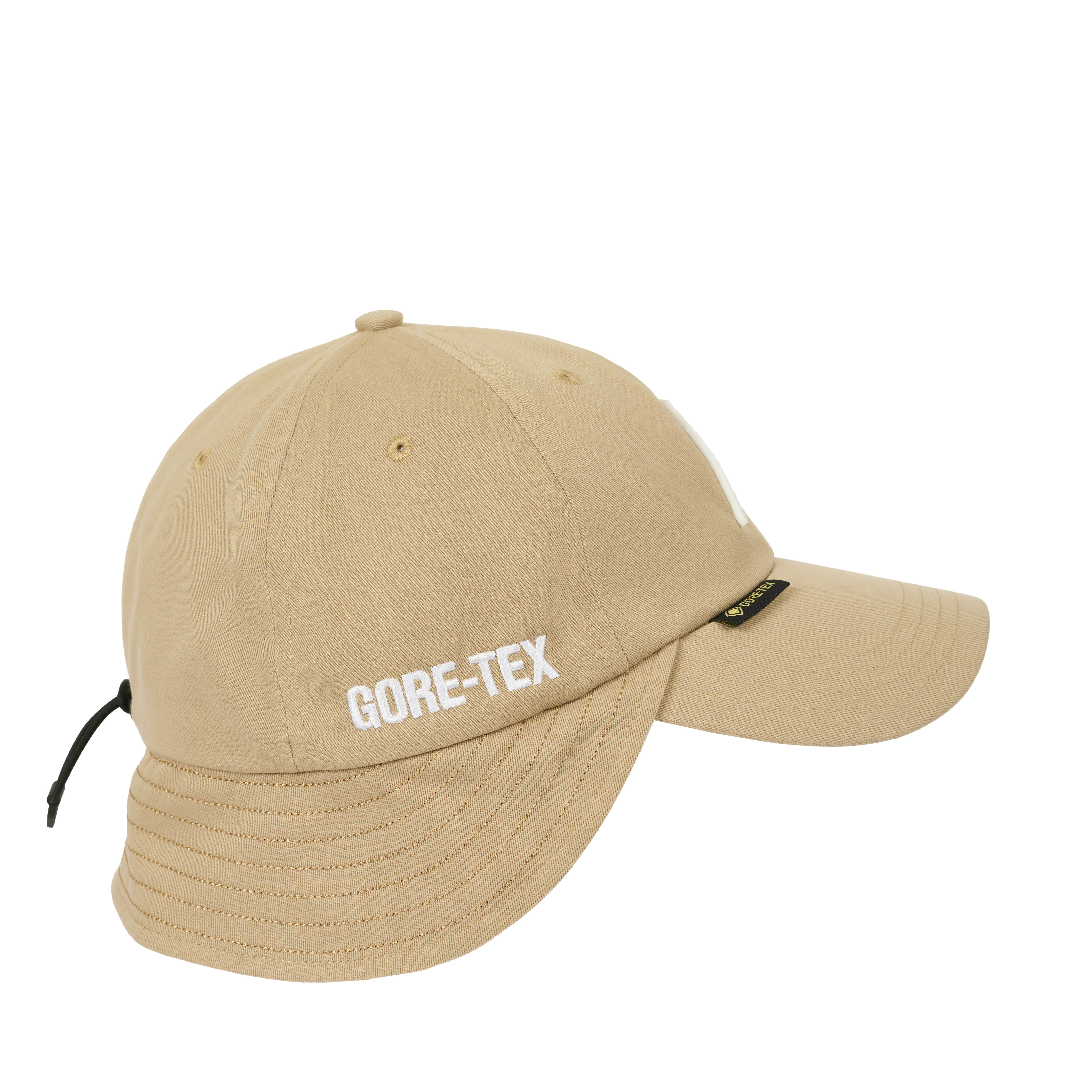 数々の賞を受賞 P NECKSAVER GORE-TEX 6-PANEL SKATEBOARDS PALACE | 帽子
