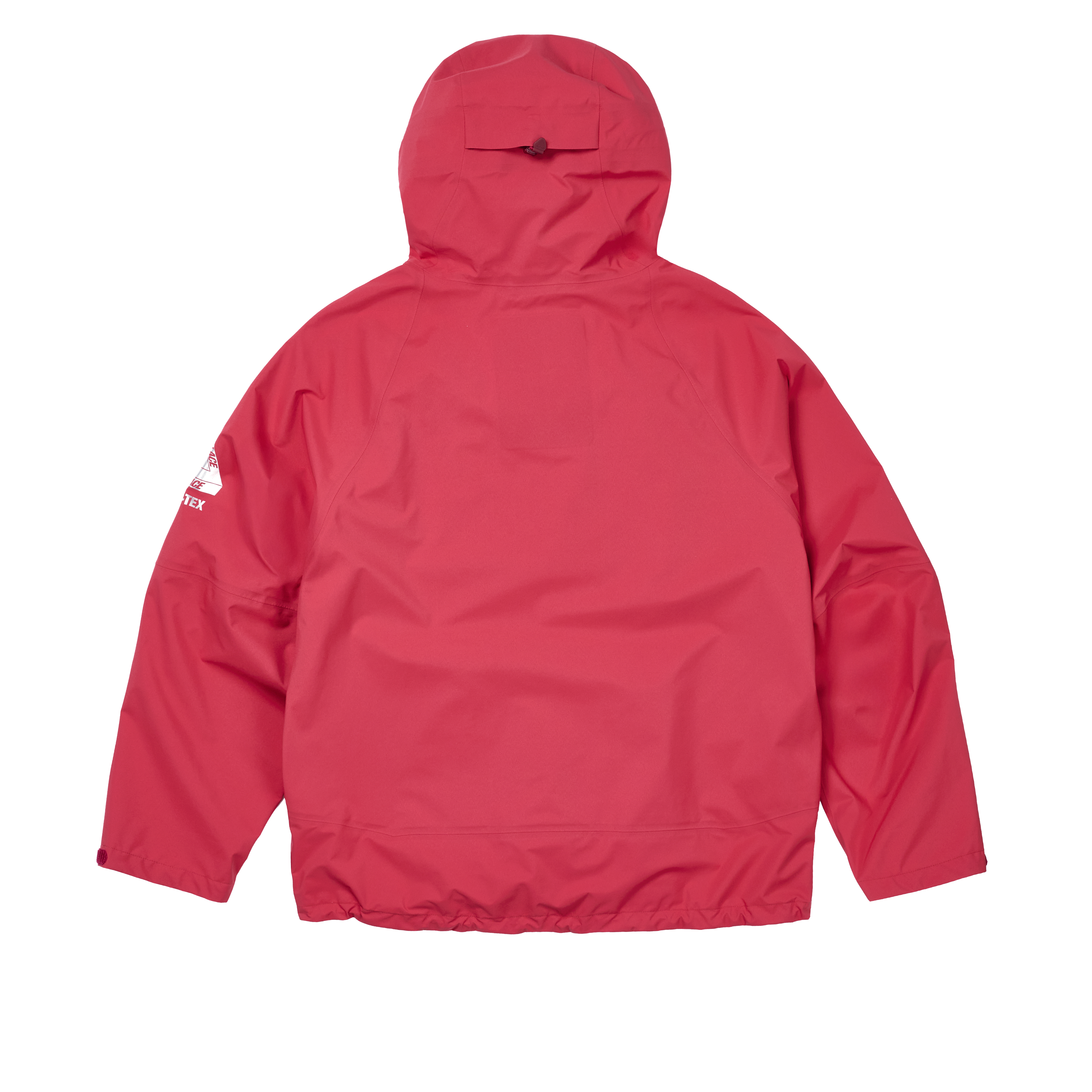 GORE-TEX 3L PALEX JACKET | PALACE SKATEBOARDS