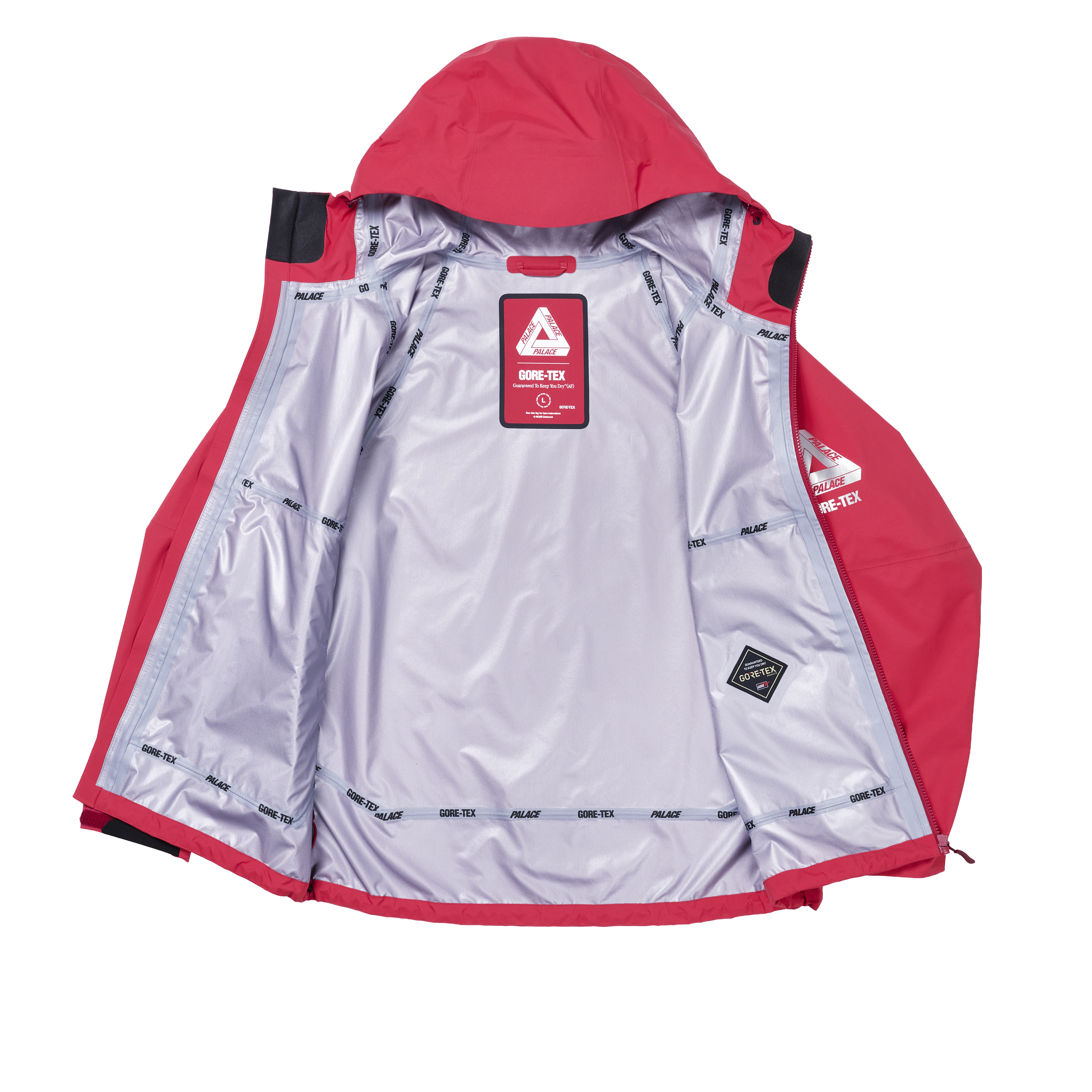 GORE-TEX 3L PALEX JACKET | PALACE SKATEBOARDS
