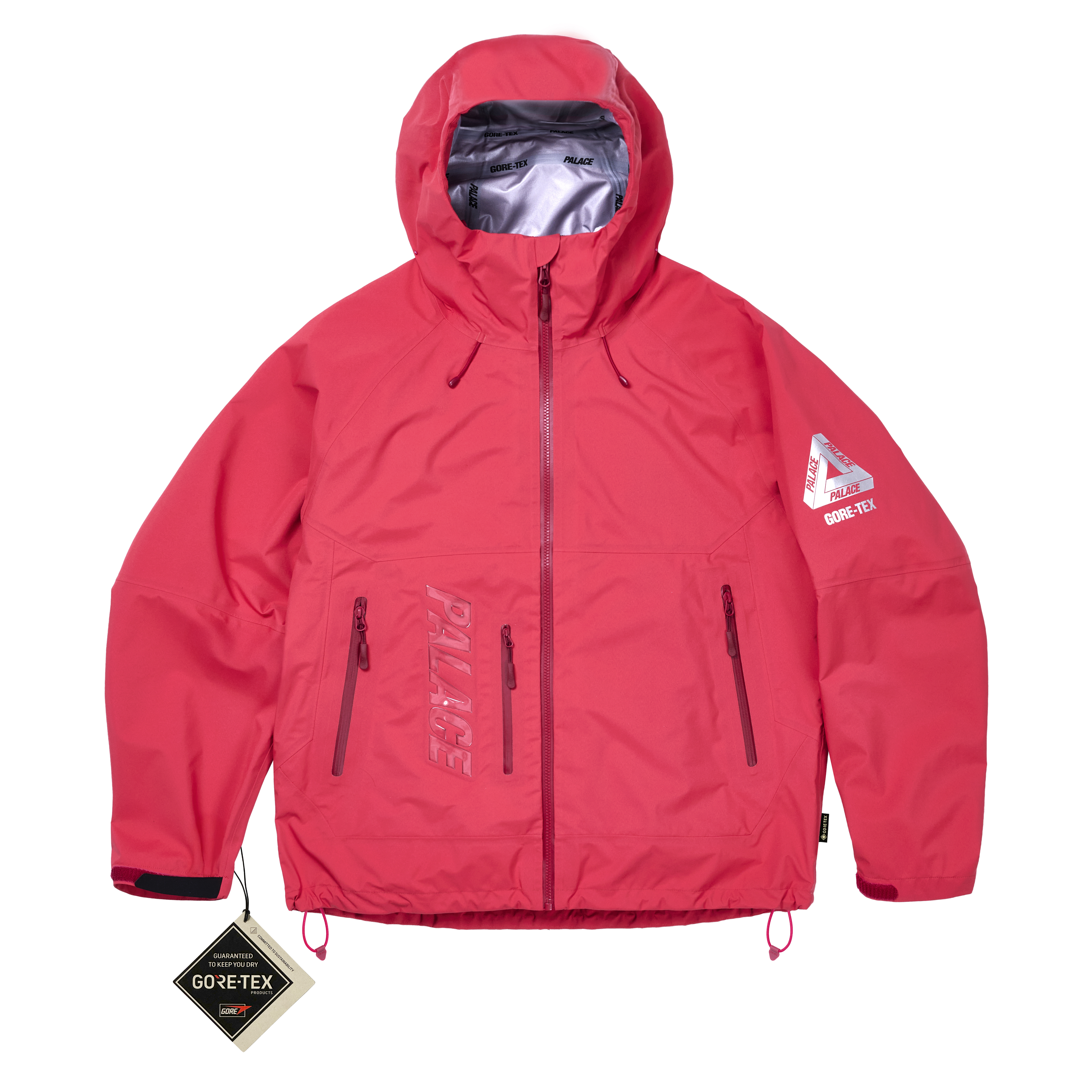 GORE-TEX 3L PALEX JACKET | PALACE SKATEBOARDS