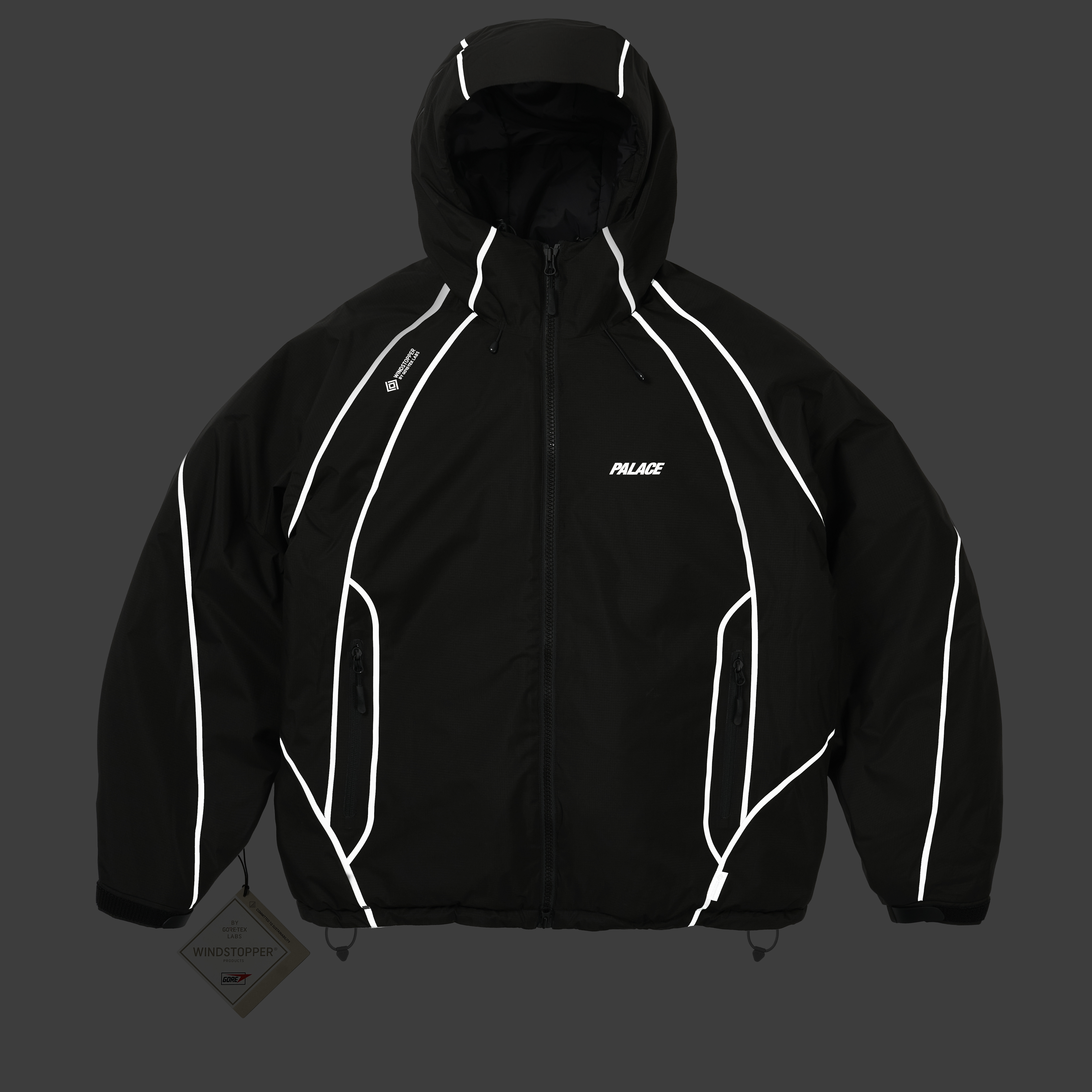PALACE GORE-TEX WINDSTOPPER ナイロンジャケット GORE-TEX WINDSTOPPER MASK JACKET | PALACE SKATEBOARDS