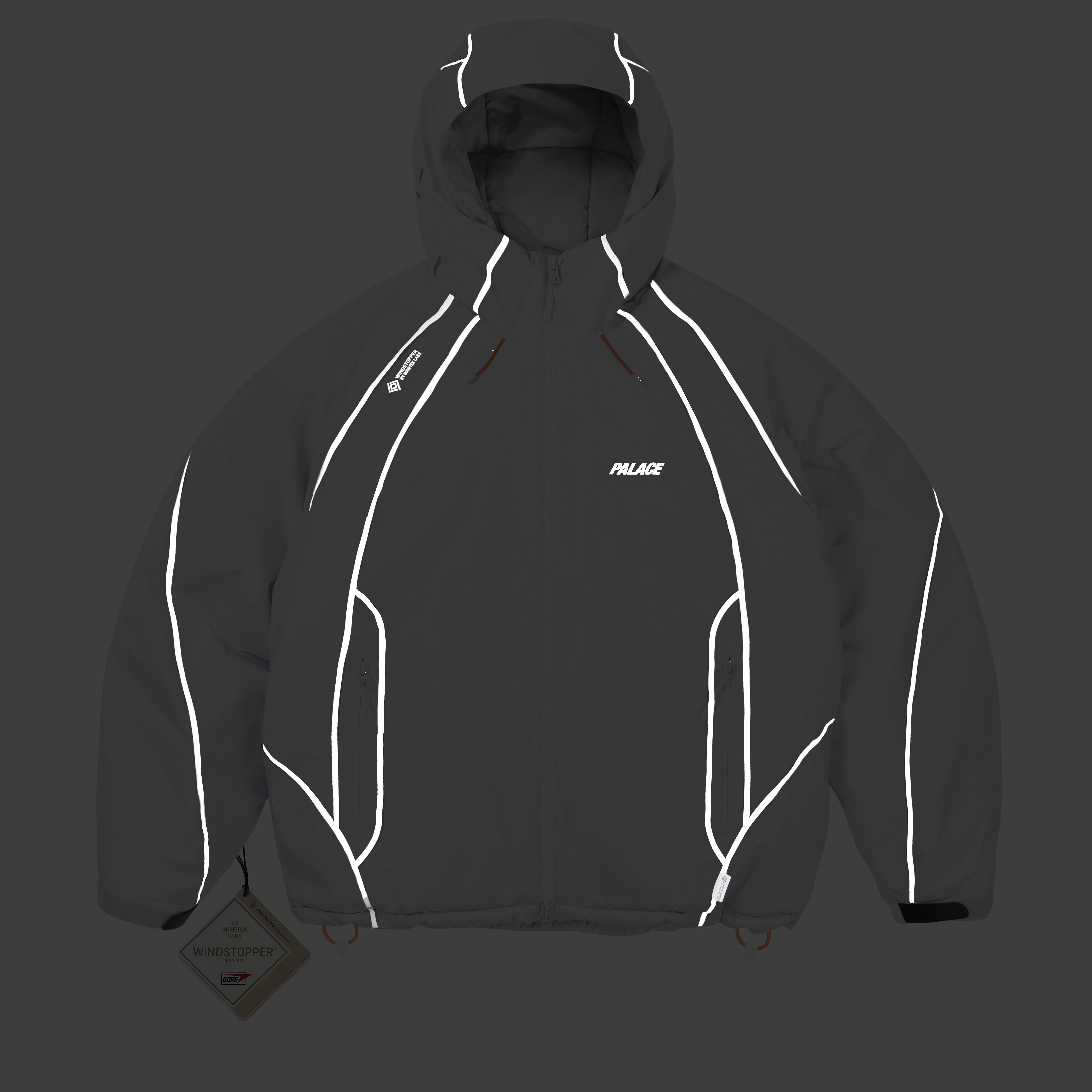 GORE-TEX WINDSTOPPER ILLUMINATOR JACKET | PALACE SKATEBOARDS