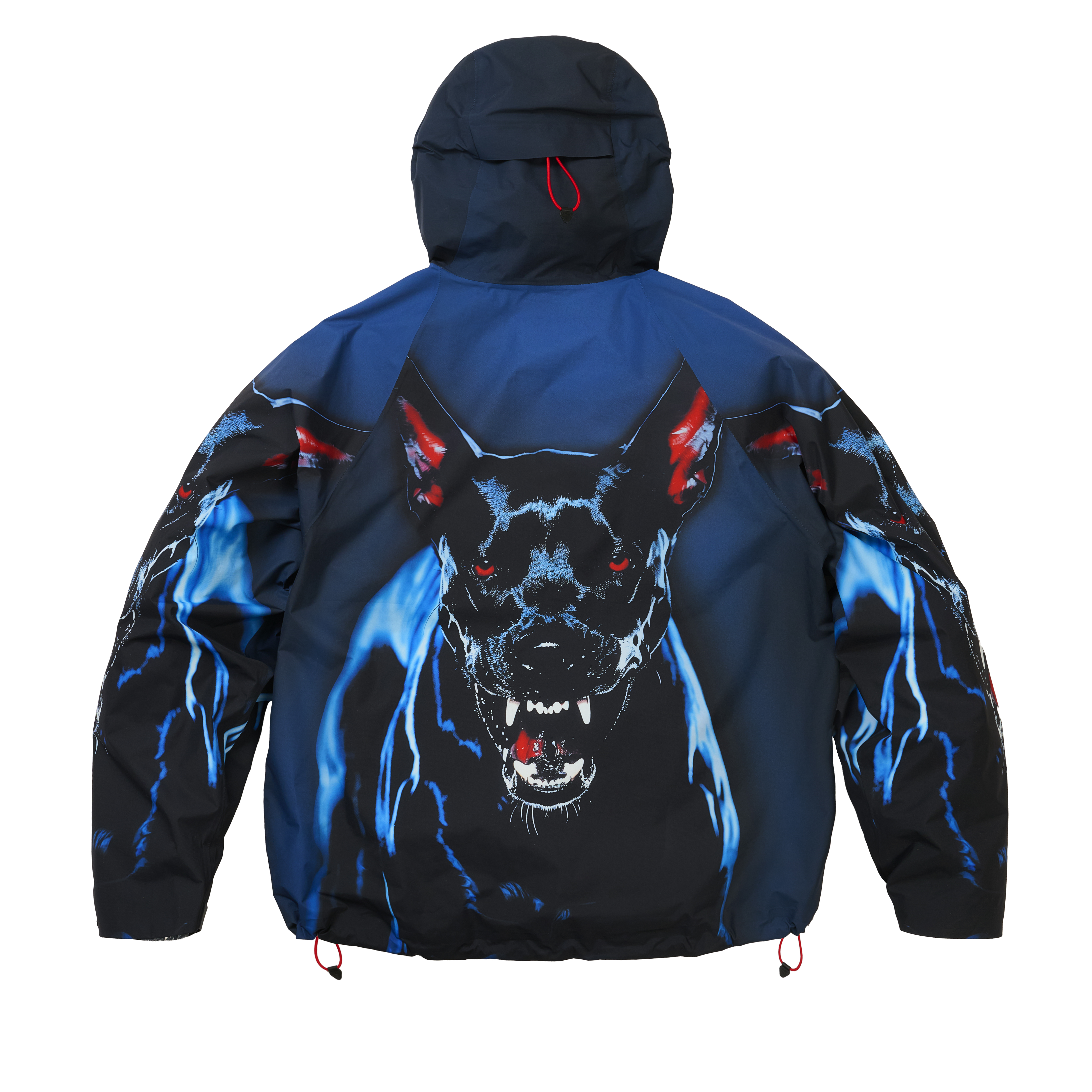 PALACE GORE-TEX®︎ JACKET Palace-GORE-TEX-2L-P-TEK-