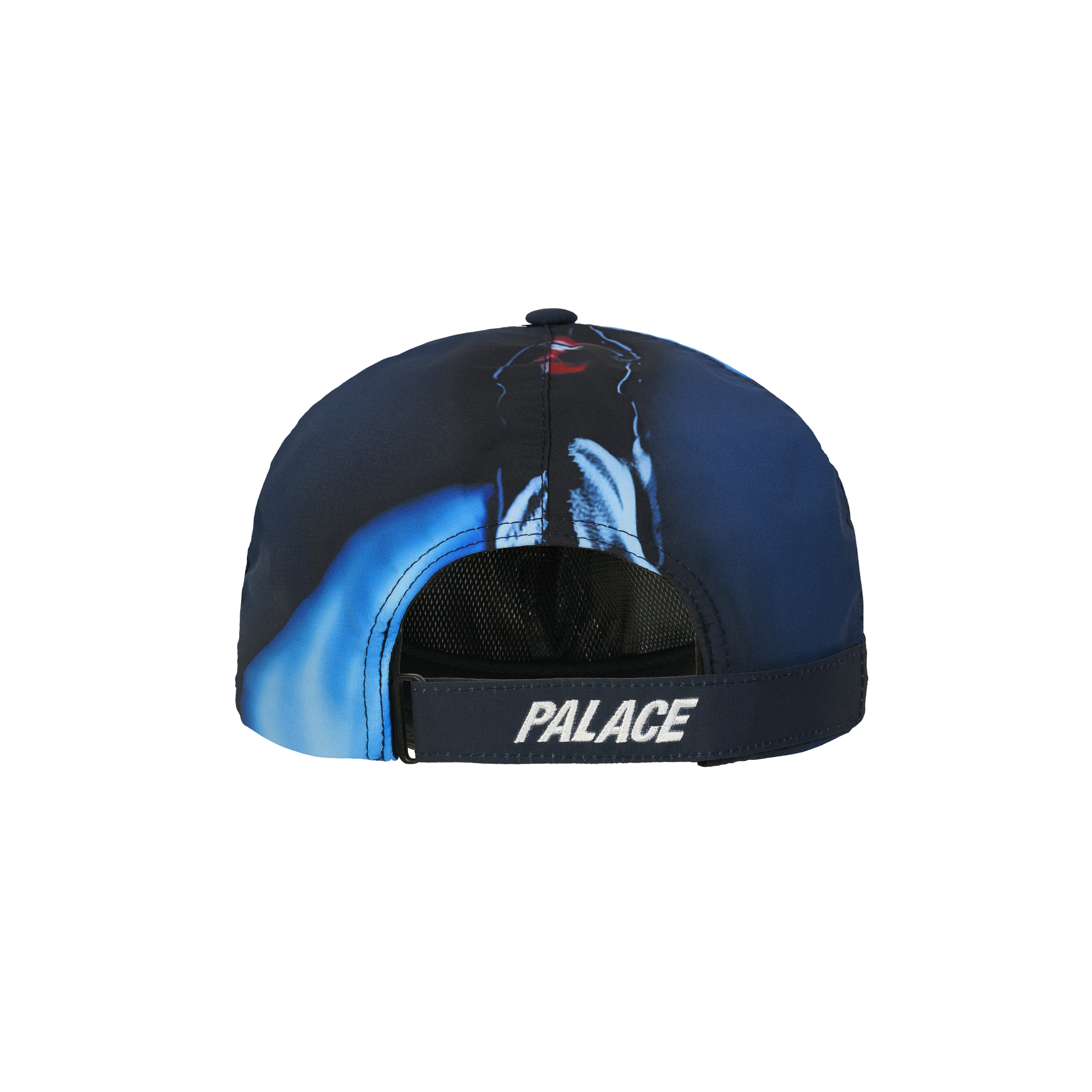 GORE-TEX P 6-PANEL | PALACE SKATEBOARDS