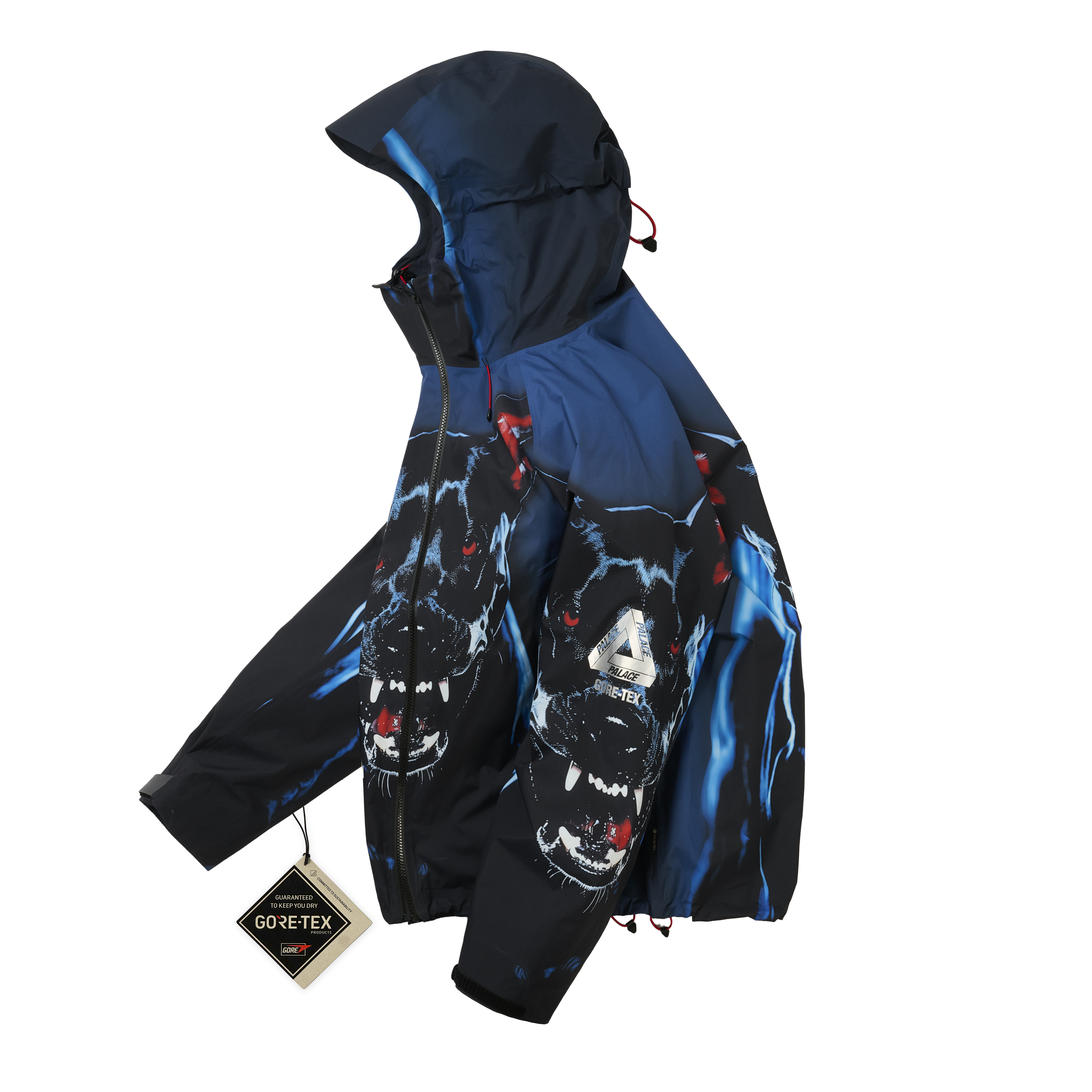 GORE-TEX 2L P-TEK JACKET | PALACE SKATEBOARDS