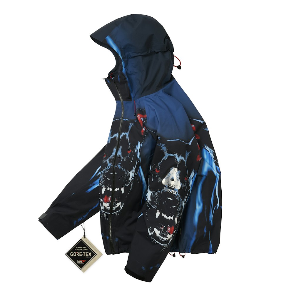 GORE-TEX 2L P-TEK JACKET | PALACE SKATEBOARDS