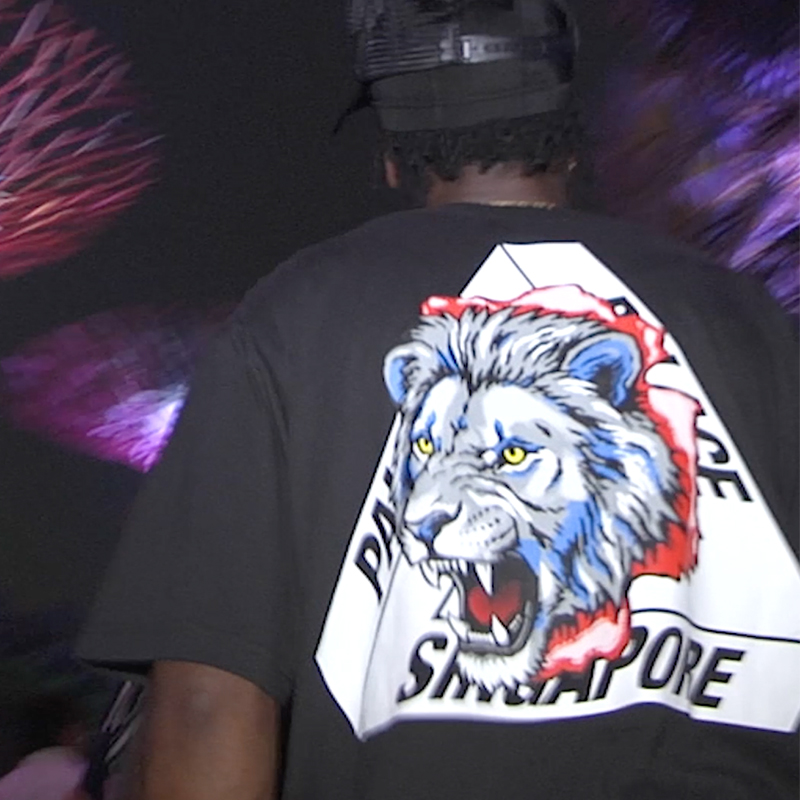 PALACE SOUTH2 WEST8 STAG-FERG T-SHIRT BLACK | PALACE SKATEBOARDS