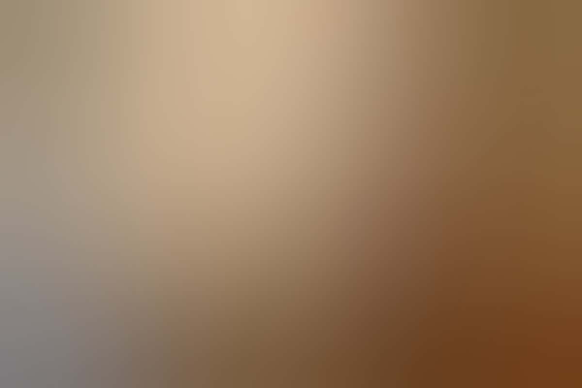 Image Placeholder Image Placeholder