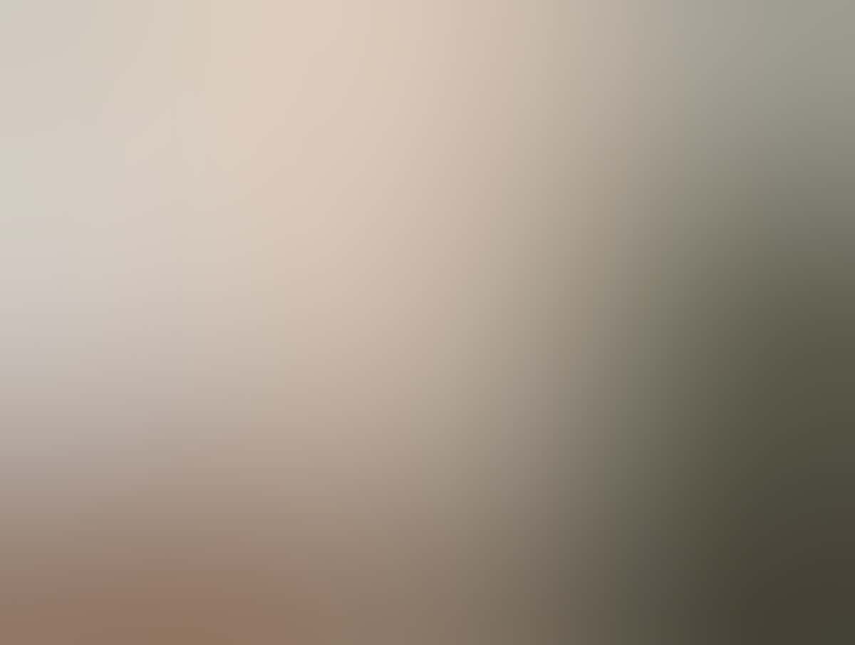 Image Placeholder Image Placeholder