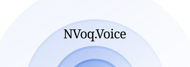 NVoq.Voice