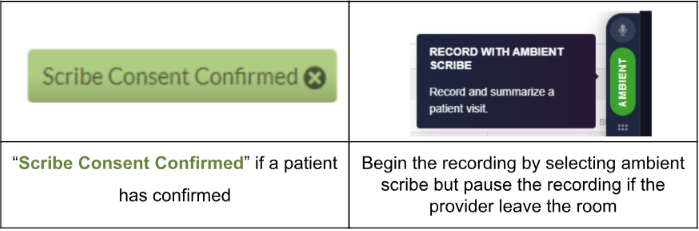 Screenshot of Scribe Patient Tag (Confirmed)
