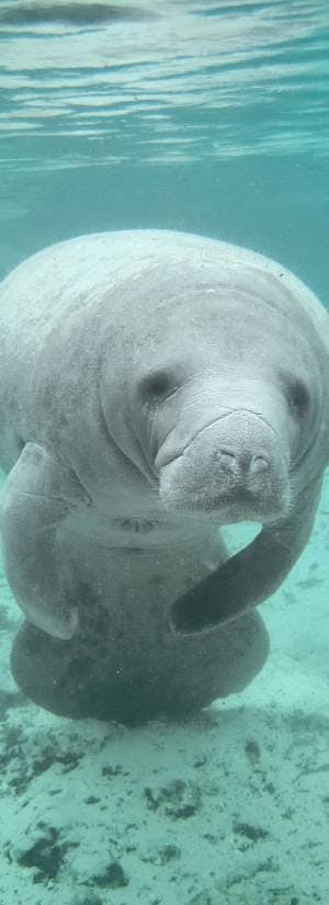 Adobe Stock: Nicolas Larento