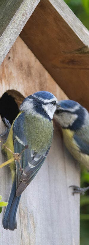 Adobe Stock: Stef Bennett