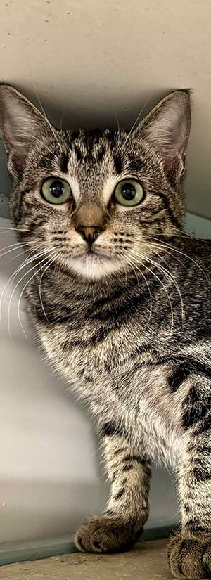 Photo: Greater Good Charities