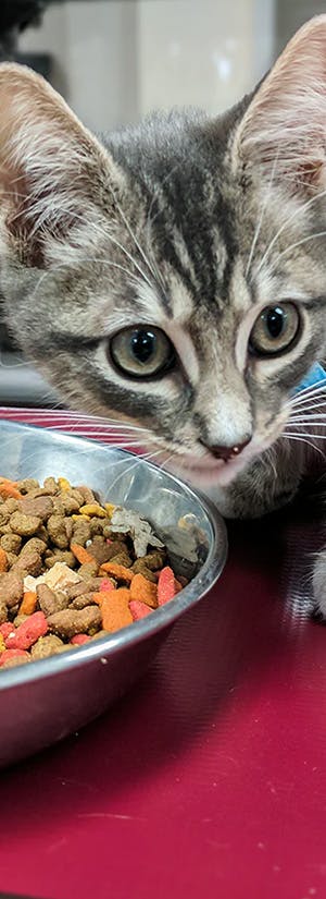 Photo: Greater Good Charities