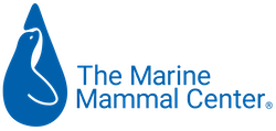 Provide Urgent Care for Seal Pups