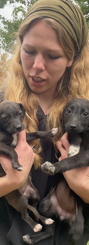 Under the Sun Shelter