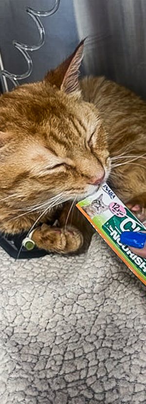 Photo: A Pathway to Hope