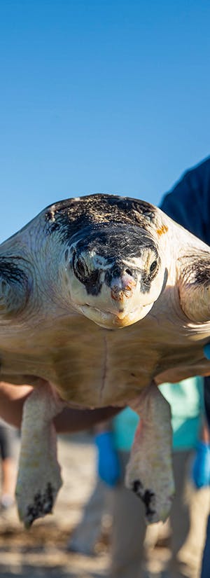 New England Aquarium