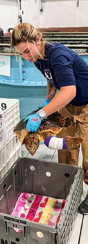 New England Aquarium
