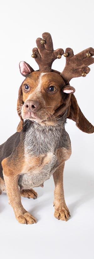 Greater Good Charities