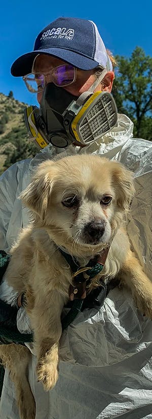 Over 300 Animals Rescued from Deplorable Conditions Need Medical Care