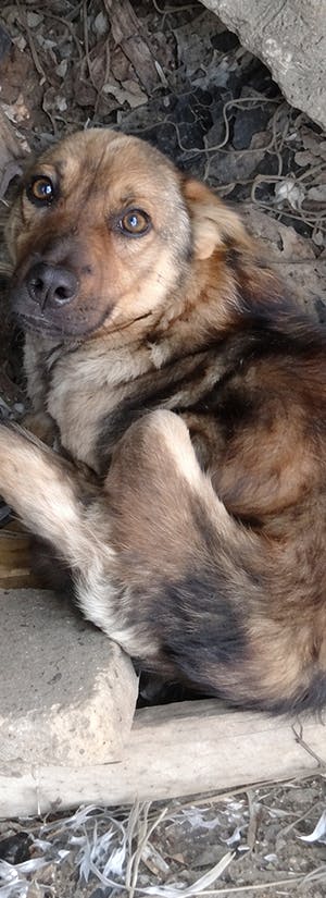 Under the Sun Shelter