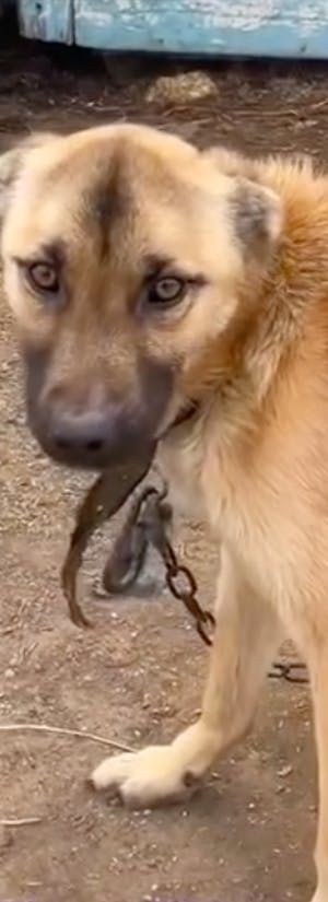 Under the Sun Shelter