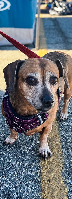 Greater Good Charities