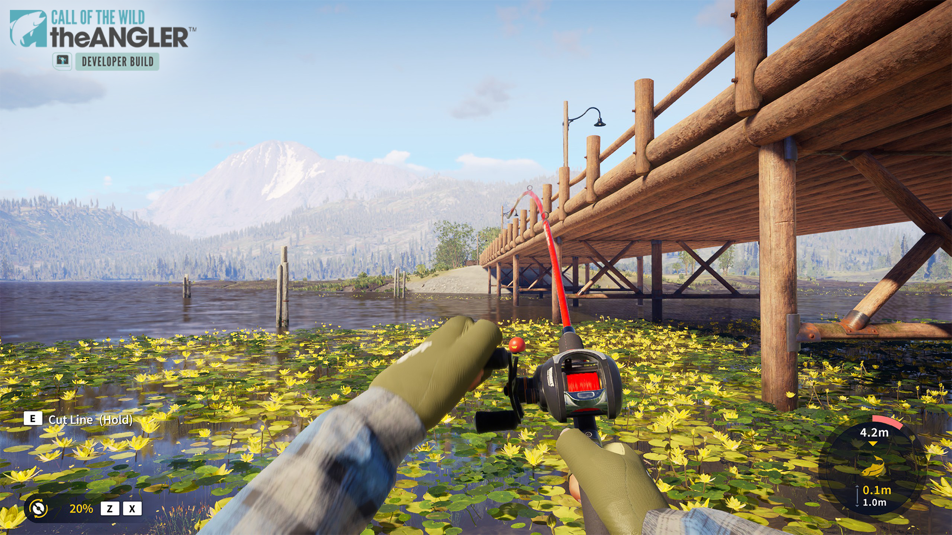 Fishing beside a bridge among some waterlilies in Golden Ridge Reserve.