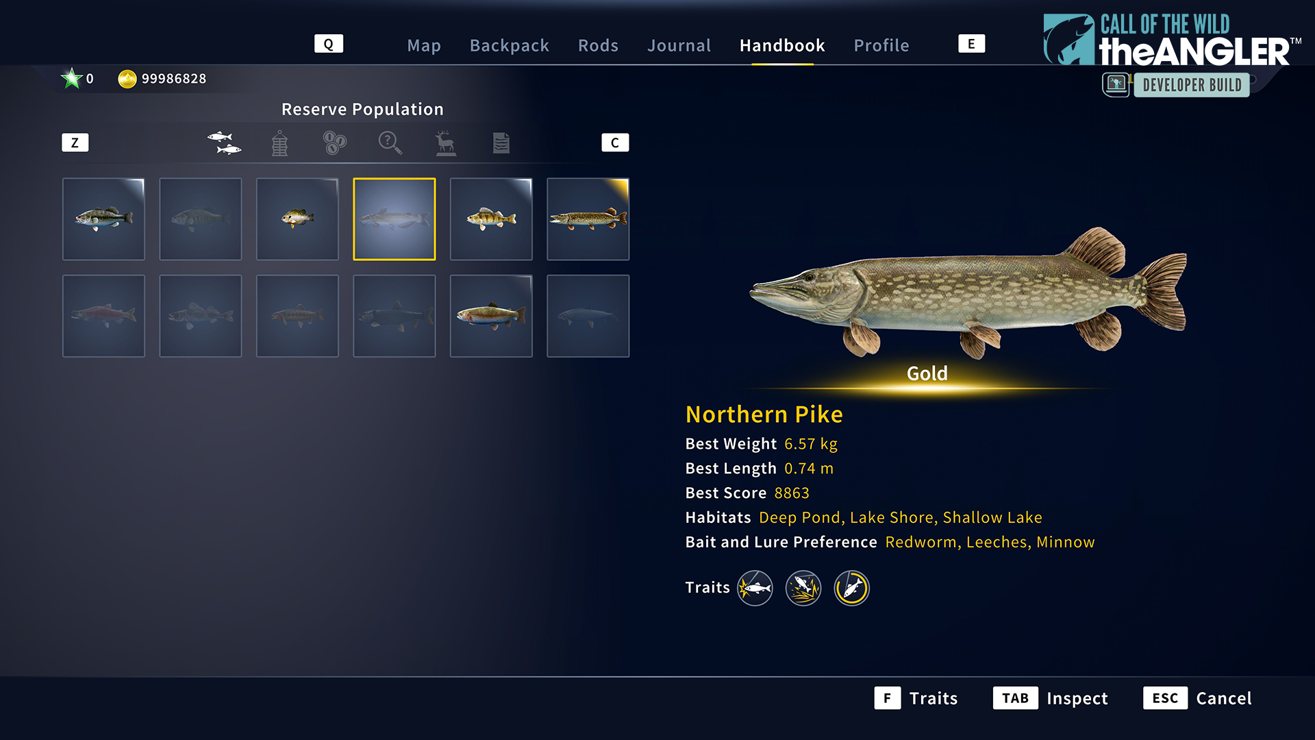 In-game menu Handbook tab, showcasing a log of caught fish with an animated model and statistics.