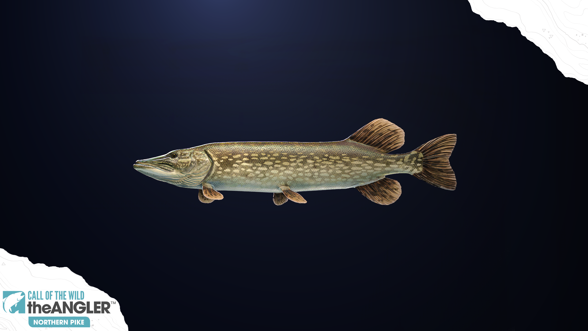 The angler call wild купить. COTW the Angler. Northern Pike. Call of the Wild: the Angler. Call of the Wild the Angler 2022.