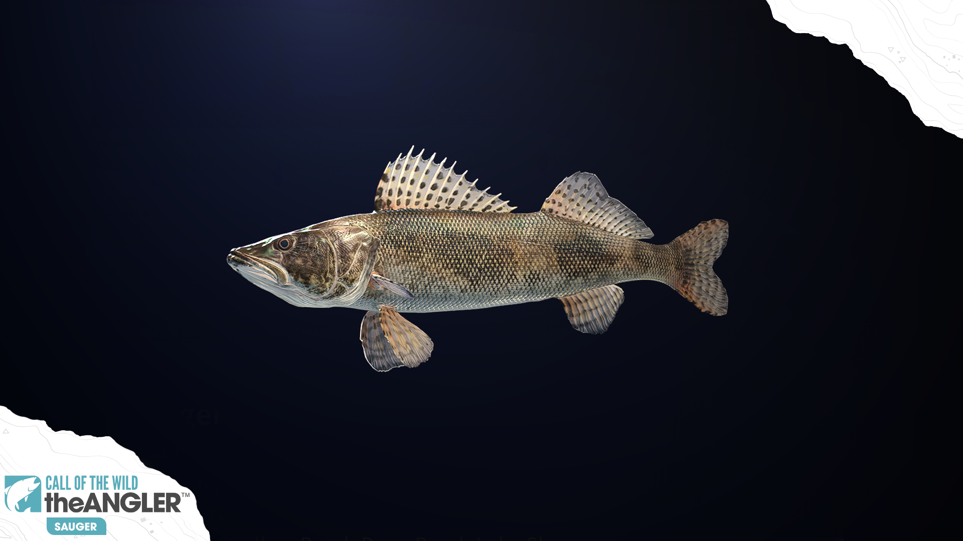 Fish Species of Golden Ridge Reserve, The Angler