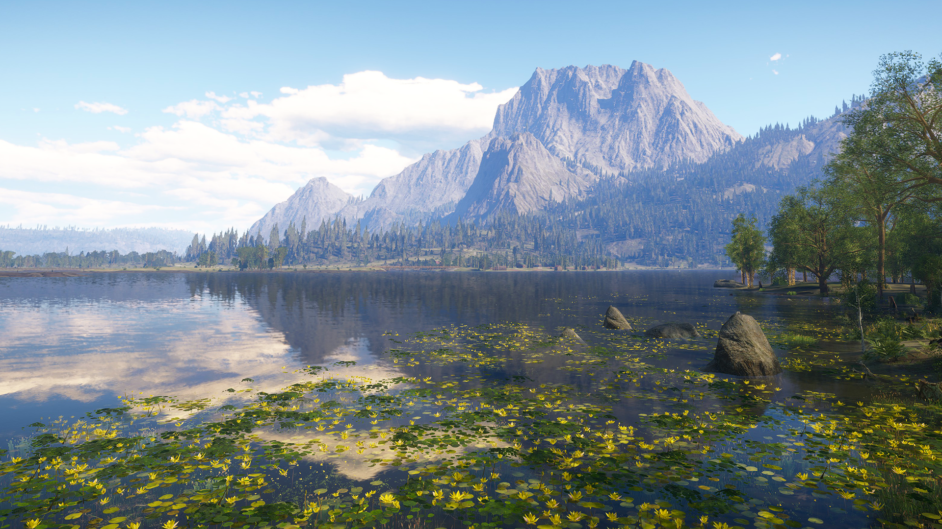 Golden Ridge Reserve vista overlooking rocky mountain ranges and a gigantic water body lined with lilies.