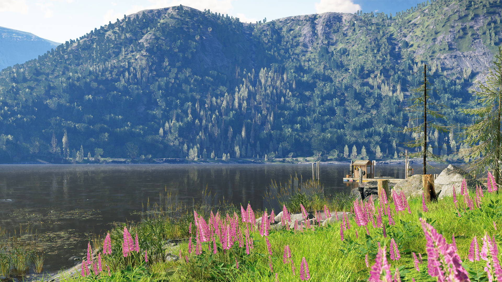 A lakeside vista in The Angler's Norway Reserve, Trollsporet.