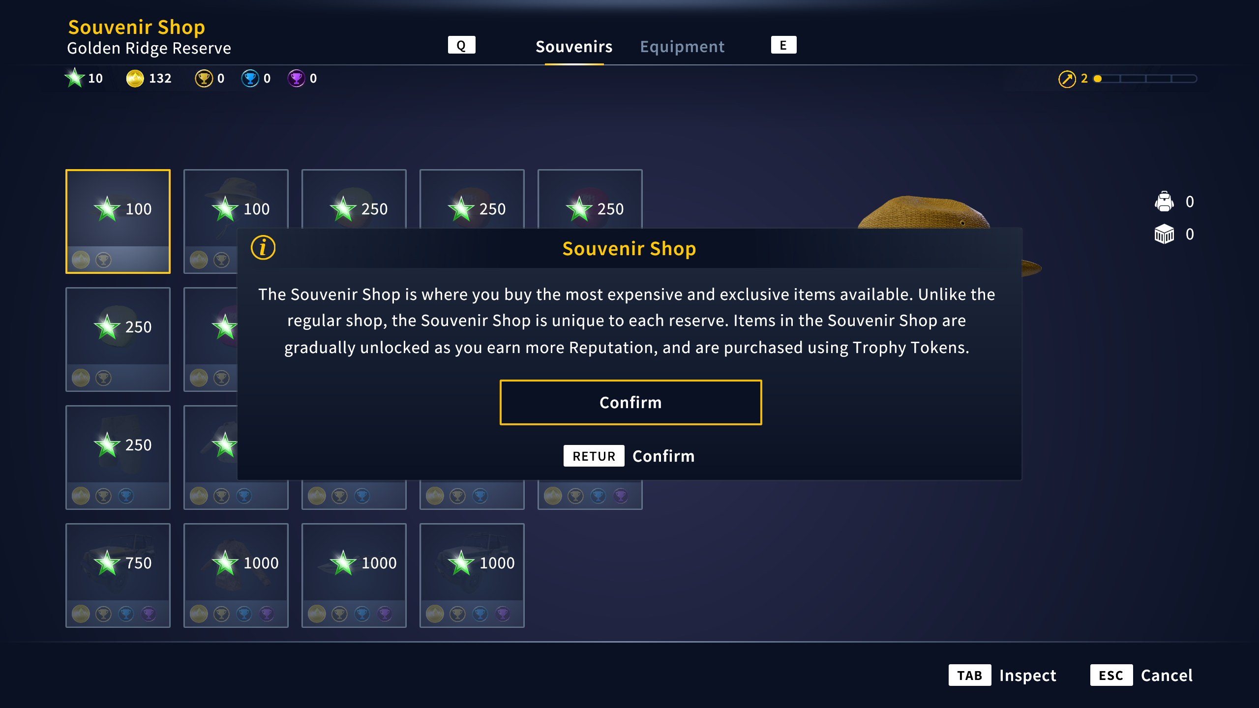 A screenshot showcasing the Souvenir Shop system and menu after the Evolution Update release.