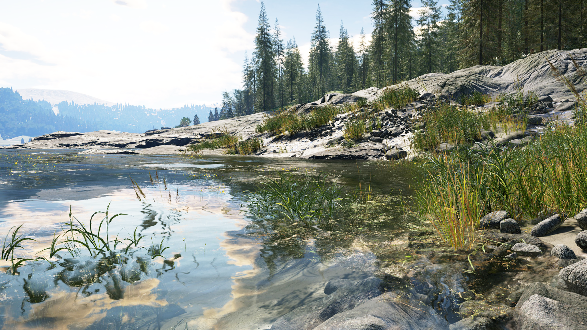 A shallow water body located on Golden Ridge Reserve.