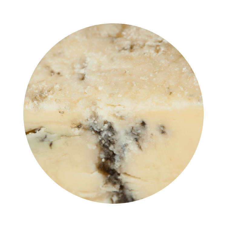 Bleu ExtraFort SaintBenoîtduLac Fromages d'ici