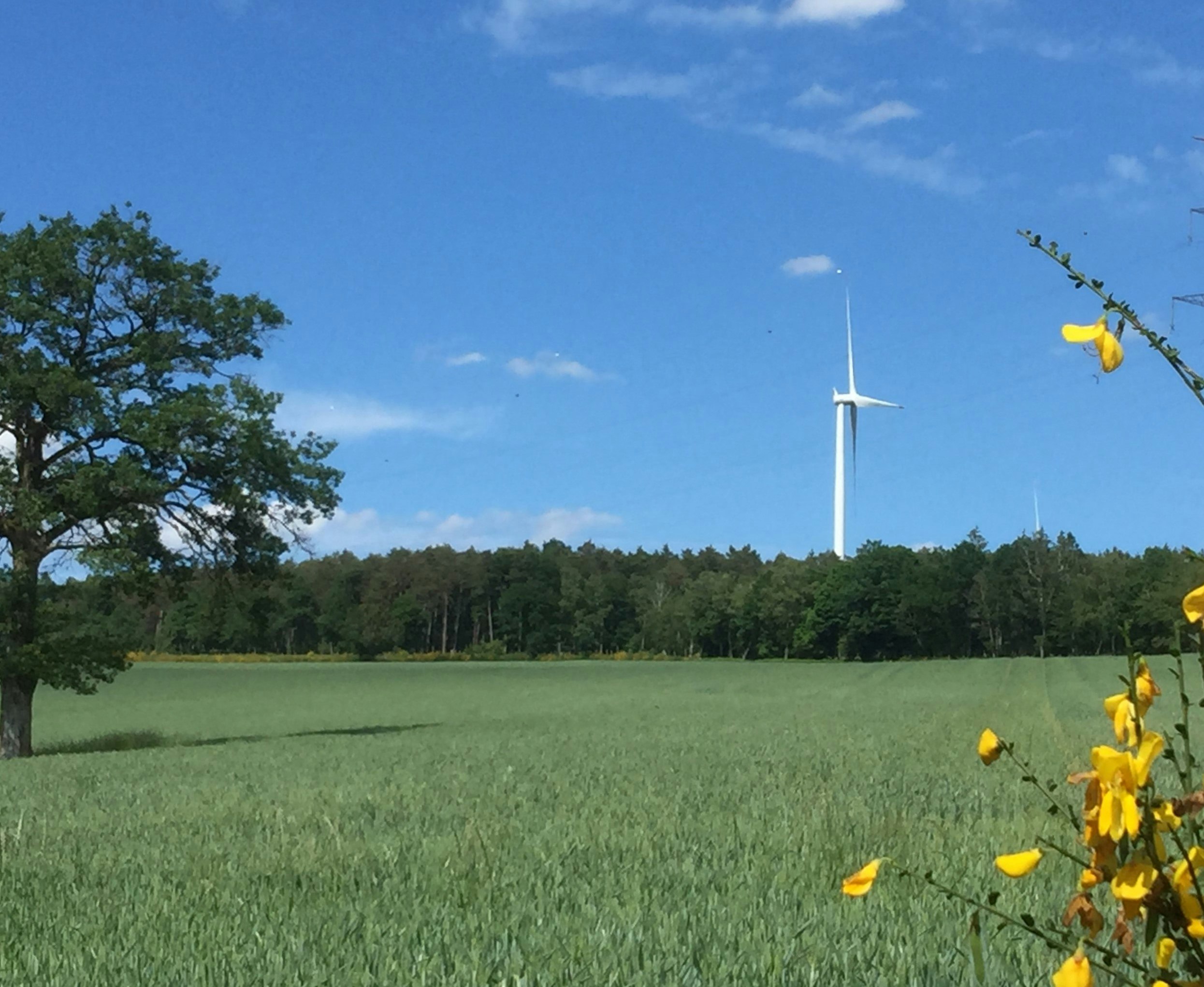 Photo d'éolienne Wallonie 