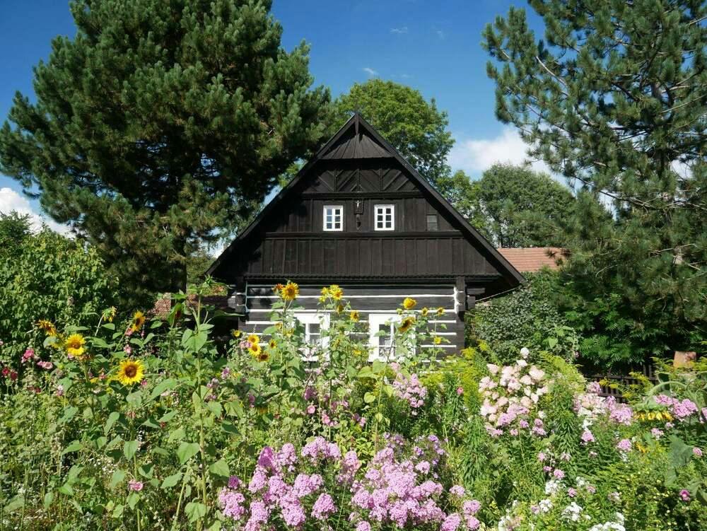 Prachovské skály a krajina Jičínska
