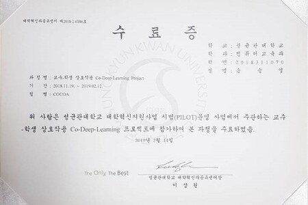 SKKU Co-Deep-Learning Project 수료