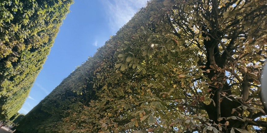 Le Jardin du Luxembourg2