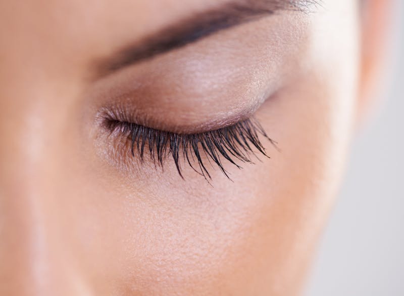 eyelid model