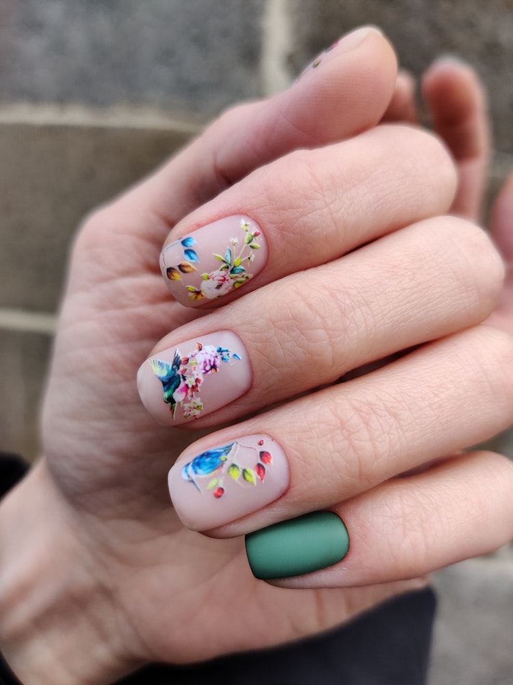 Hummingbird slider on flowers on square medium nails