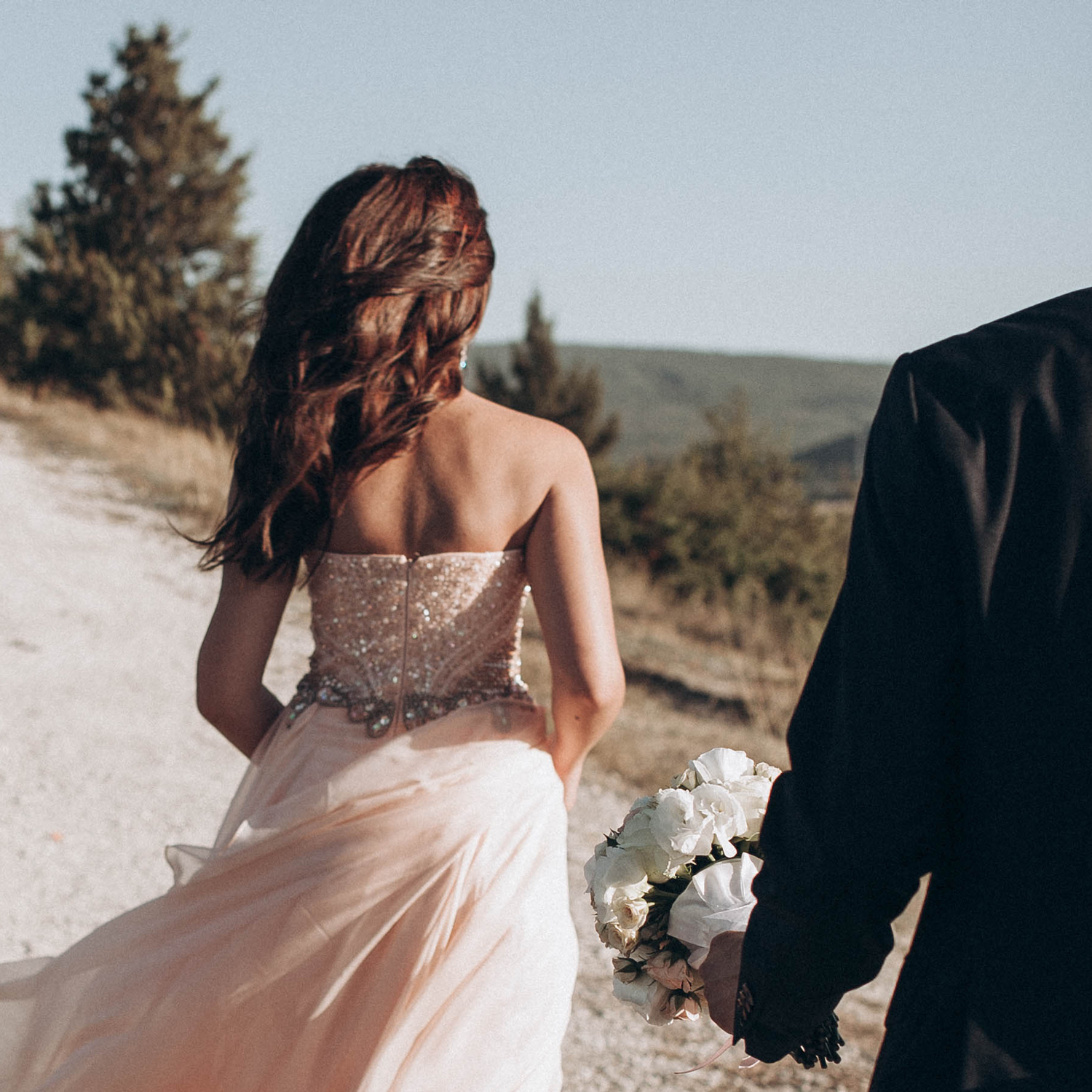 wedding-back, wedding dress