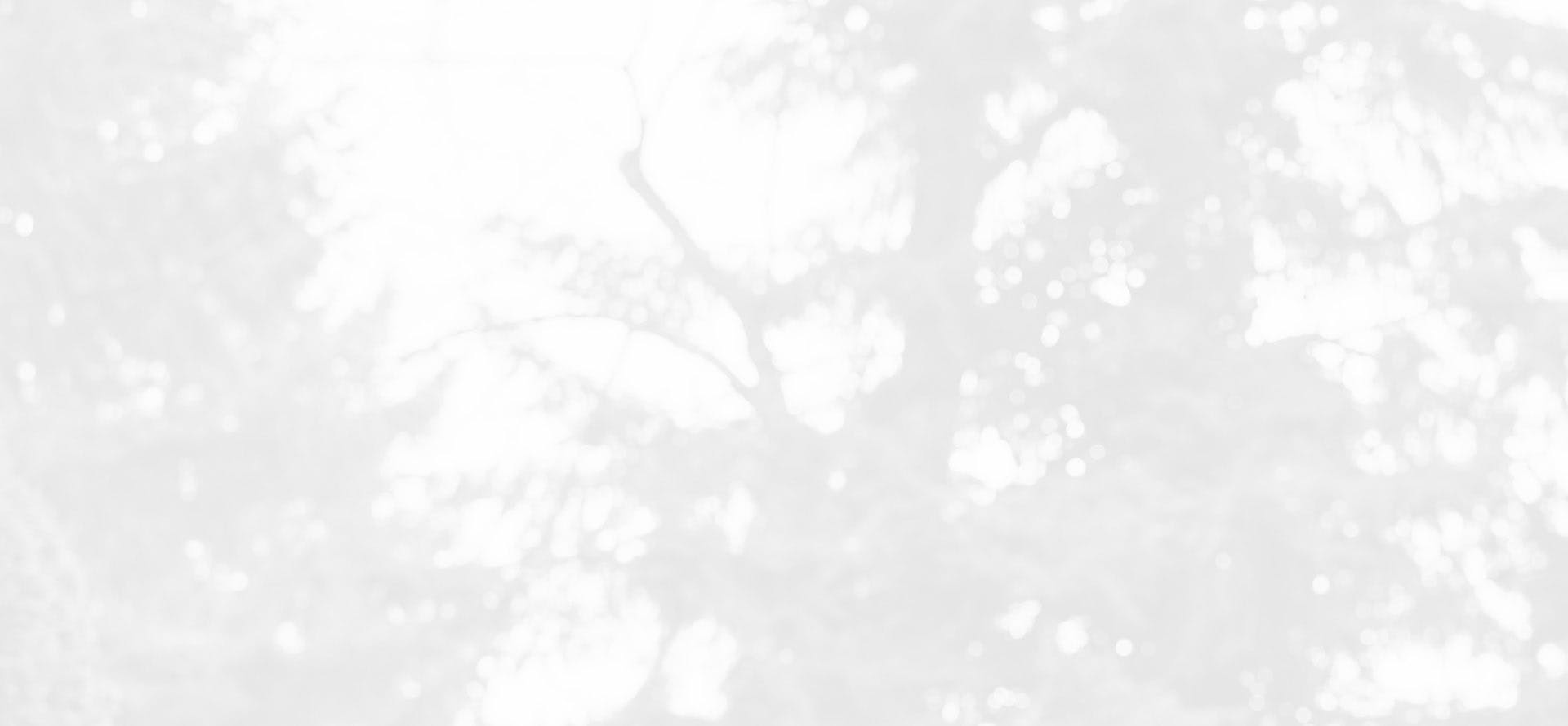 Background media