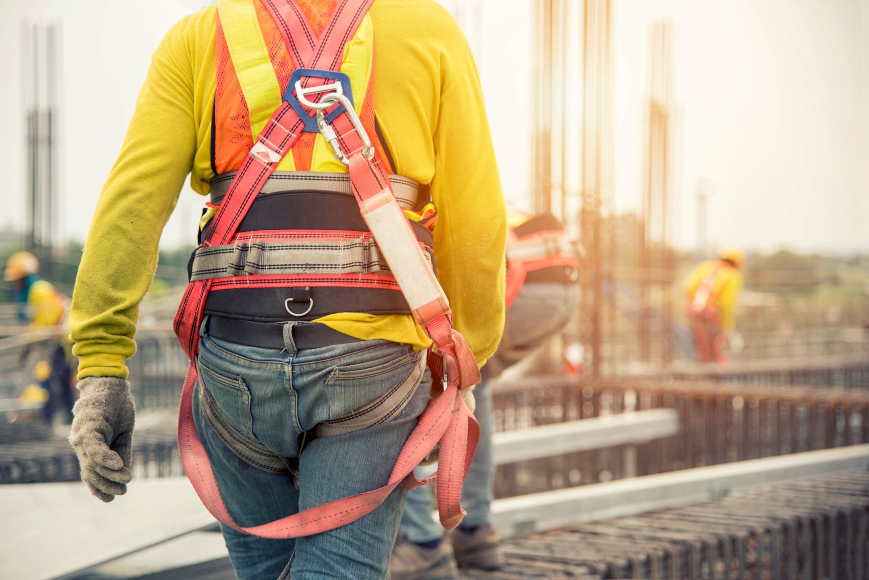 Working at Heights - Harness